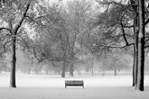 washington park, bench, denver, colorado